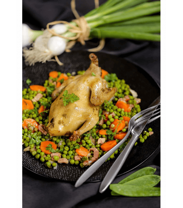 PETITS POIS EXTRA FINS ET CAROTTE JARDINS ADRIEN au prix de gros - cash-alimentaire.com