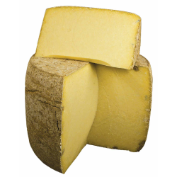 CANTAL JEUNE MEULE ENTIER GASTON TROUPEL - prix grossiste - cash-alimentaire.com