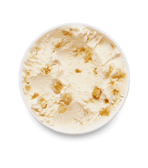MACADAMIA NUT BRITTLE HAAGEN-DAZS - prix grossiste - cash-alimentaire.com