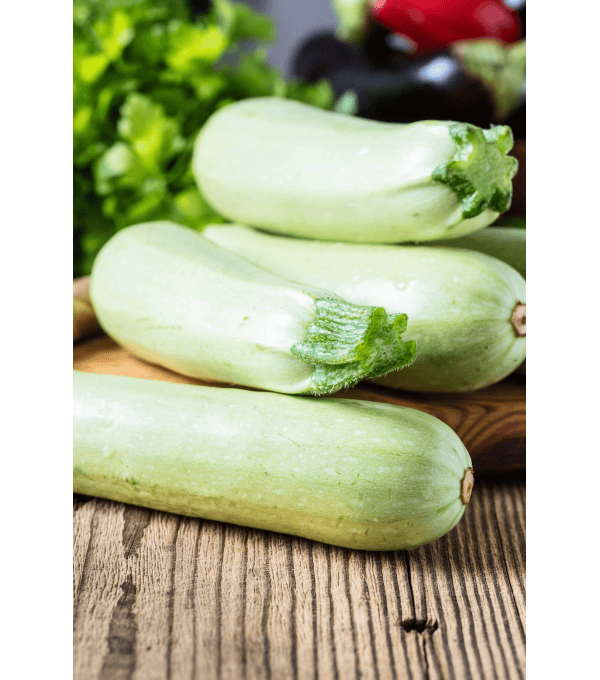 Destockage COURGETTE BLANCHE CASE - cash-alimentaire.com