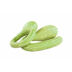 Destockage COURGETTE TROMPETTE CASE - cash-alimentaire.com