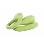Destockage COURGETTE TROMPETTE CASE - cash-alimentaire.com