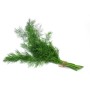 Destockage ANETH CASE - cash-alimentaire.com