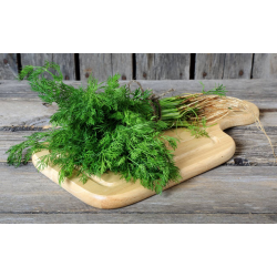 Destockage ANETH CASE - cash-alimentaire.com