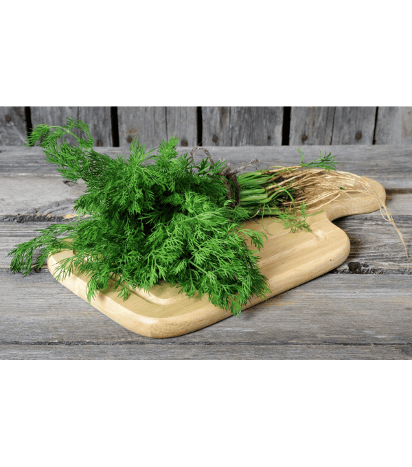 Destockage ANETH CASE - cash-alimentaire.com