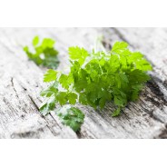 Destockage CERFEUIL CASE - cash-alimentaire.com