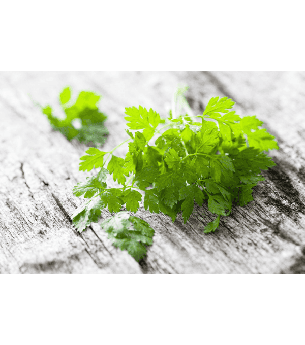 Destockage CERFEUIL CASE - cash-alimentaire.com