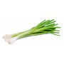 Destockage CEBETTE PAYS NICOIS - cash-alimentaire.com