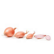 Destockage ECHALION SAC PRODUITS SOLEIL - cash-alimentaire.com