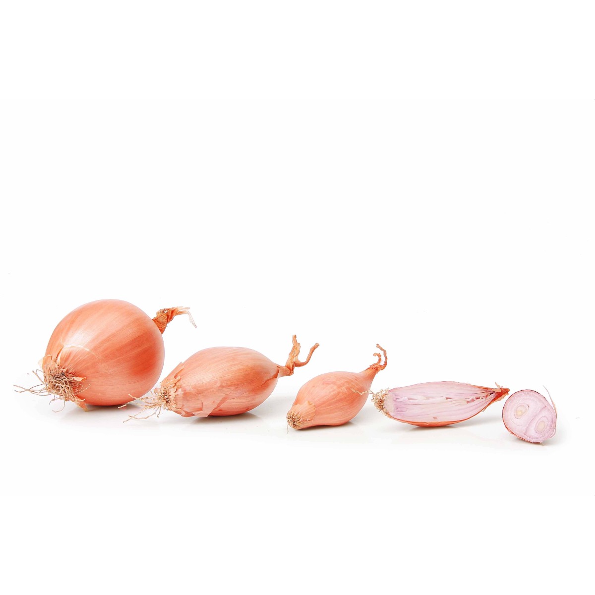 Destockage ECHALION SAC PRODUITS SOLEIL - cash-alimentaire.com