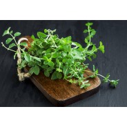 Destockage OSEILLE CASE - cash-alimentaire.com