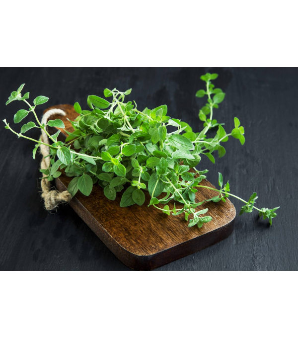 Destockage OSEILLE CASE - cash-alimentaire.com