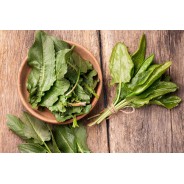 Destockage ORIGAN ORTINGAUNIA - cash-alimentaire.com