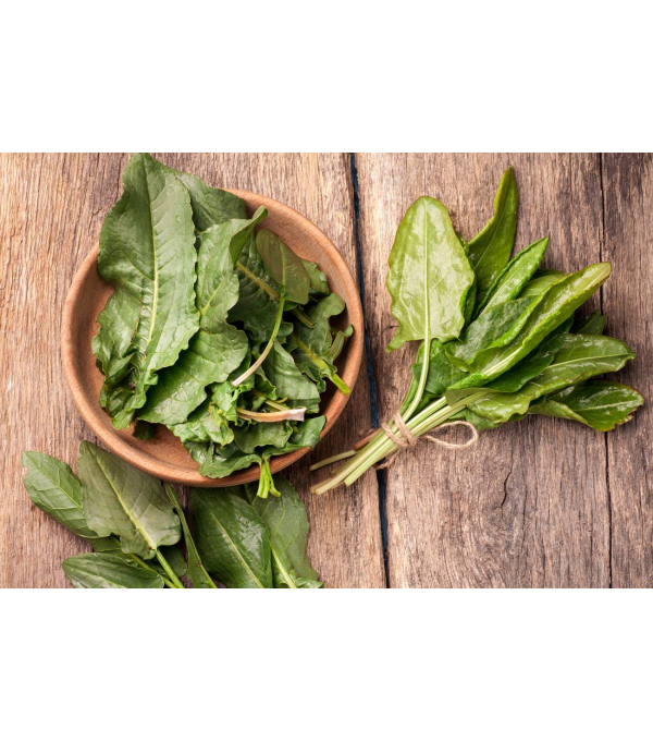 Destockage ORIGAN ORTINGAUNIA - cash-alimentaire.com