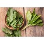 Destockage ORIGAN ORTINGAUNIA - cash-alimentaire.com