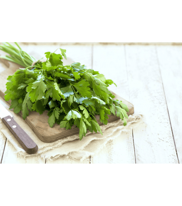 Destockage PERSIL PLAT TRANIFRUIT - cash-alimentaire.com