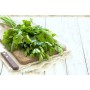 Destockage PERSIL PLAT TRANIFRUIT - cash-alimentaire.com