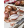 Destockage ECHALION PRODUITS SOLEIL - cash-alimentaire.com