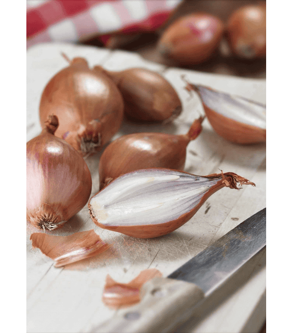 Destockage ECHALION SAC PRODUITS SOLEIL - cash-alimentaire.com