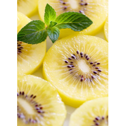 Destockage KIWI JAUNE ZESPRI - cash-alimentaire.com