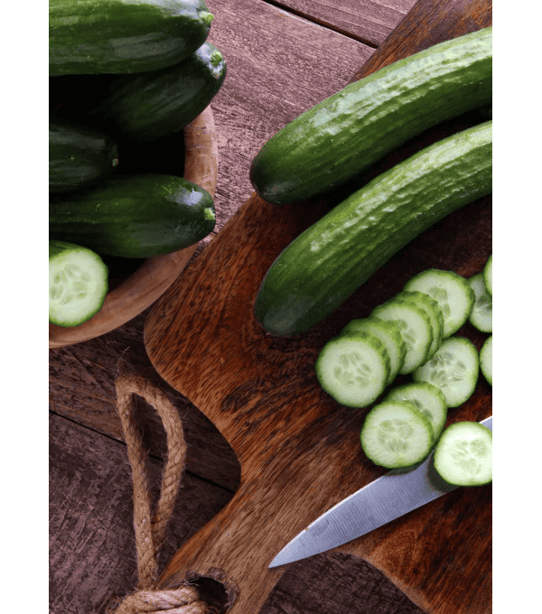 Destockage CONCOMBRE MURGIVERDE - cash-alimentaire.com