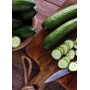 Destockage CONCOMBRE MURGIVERDE - cash-alimentaire.com