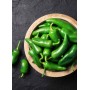Destockage JALAPENOS PIMENT CASE - cash-alimentaire.com