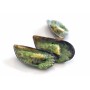 MOULE FARCIE RECETTE PERSILLADE FRANCAISE - prix grossiste - cash-alimentaire.com