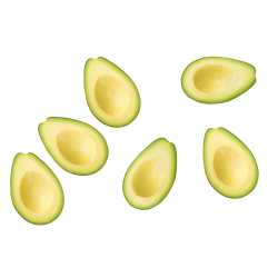 AVOCAT DEMI SALUD - prix grossiste - cash-alimentaire.com