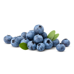 Destockage MYRTILLE PRESTIGE - cash-alimentaire.com