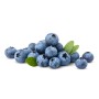 Destockage MYRTILLE PRESTIGE - cash-alimentaire.com