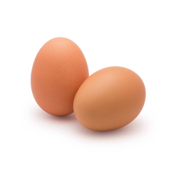 OEUF GROS 63/73 AU COURS - prix grossiste - cash-alimentaire.com