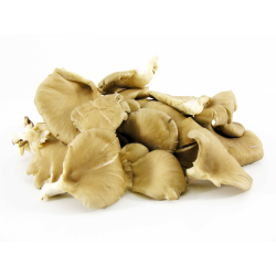 Destockage PLEUROTE VIALADE - cash-alimentaire.com