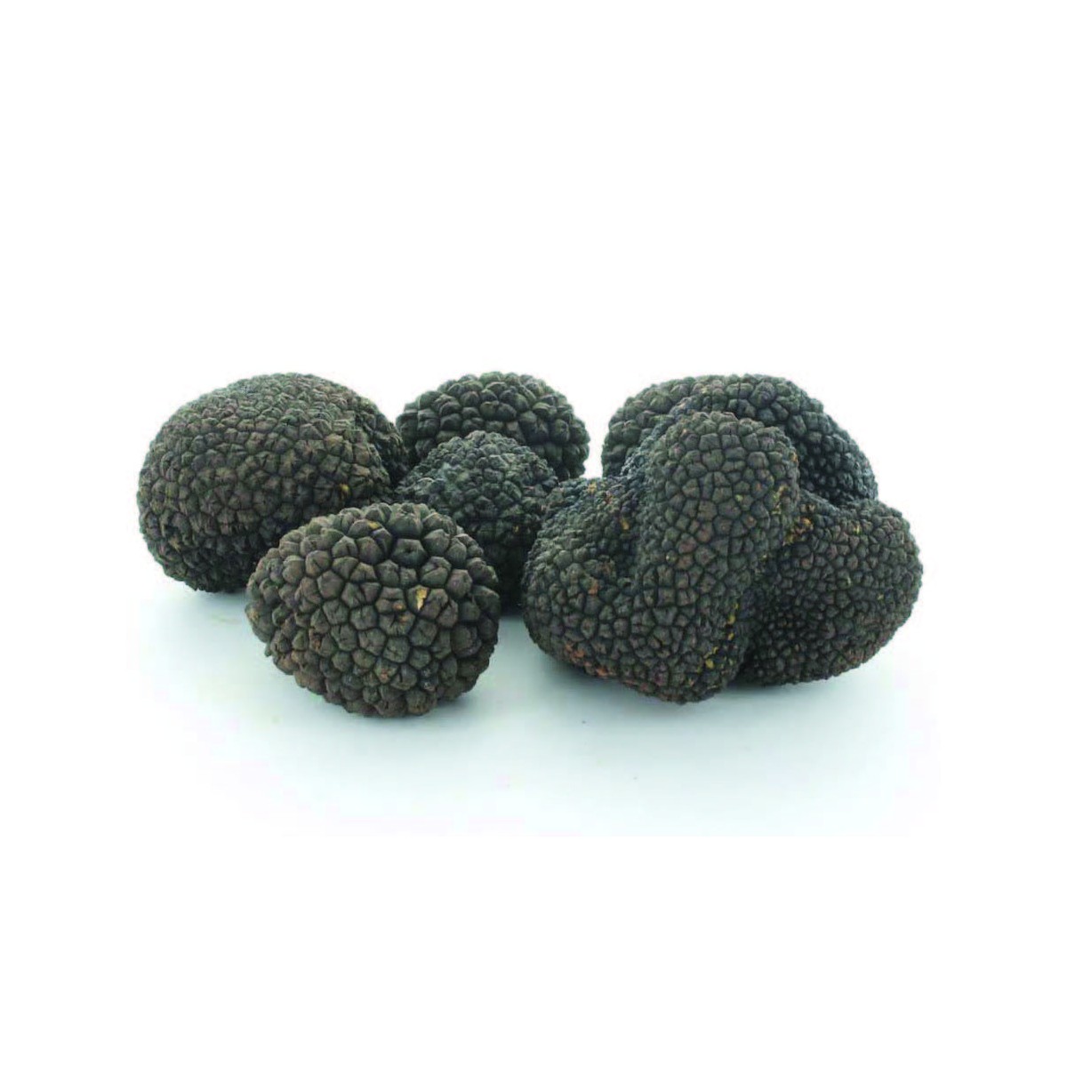 Destockage TRUFFE NOIRE FRAICHE SACCHI TARTUFI - cash-alimentaire.com