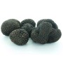 Destockage TRUFFE NOIRE FRAICHE SACCHI TARTUFI - cash-alimentaire.com