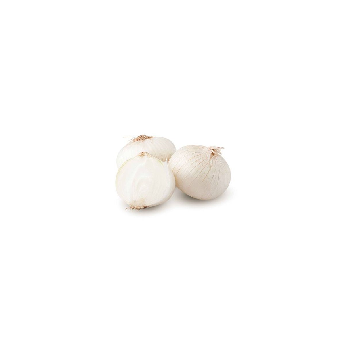 Destockage OIGNON BLANC RPH ONIONS - cash-alimentaire.com