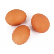 Destockage OEUF BIO MOYEN SEGUY - cash-alimentaire.com