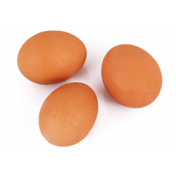 Destockage OEUF BIO MOYEN SEGUY - cash-alimentaire.com