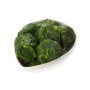 EPINARD BRANCHE PORTION GREENS - prix grossiste - cash-alimentaire.com