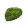 BROCOLIS GREENS - prix grossiste - cash-alimentaire.com