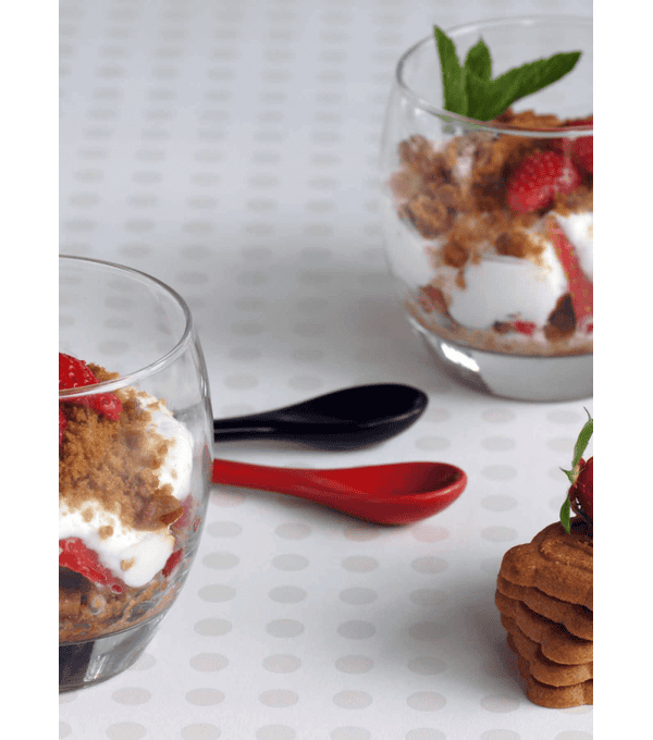 SPECULOOS LOTUS au prix de gros - cash-alimentaire.com