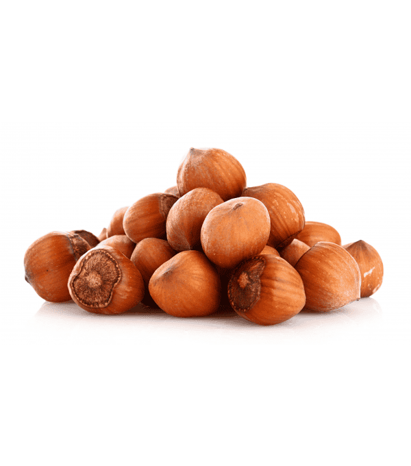 NOISETTE COQUE EXIDA produits de gros - cash-alimentaire.com