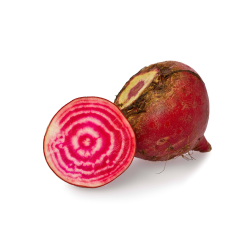 Achat en gros BETTERAVE CHIOGGIA LA LEGUMIERE - cash-alimentaire.com
