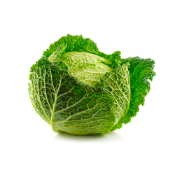 Destockage CHOU VERT FRISE CASE - cash-alimentaire.com
