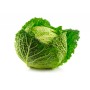 Destockage CHOU VERT FRISE CASE - cash-alimentaire.com