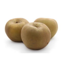 POMME CANADA GRISE BELLE EPOQUE produits de gros - cash-alimentaire.com