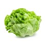 Achat en ligne LAITUE PLEINE TERRE CASE - cash-alimentaire.com