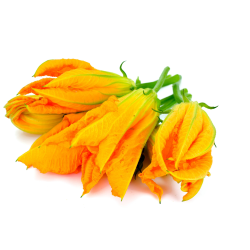 Fournisseur alimentaire de FLEURS DE COURGETTES MAGLIOZZI - cash-alimentaire.com