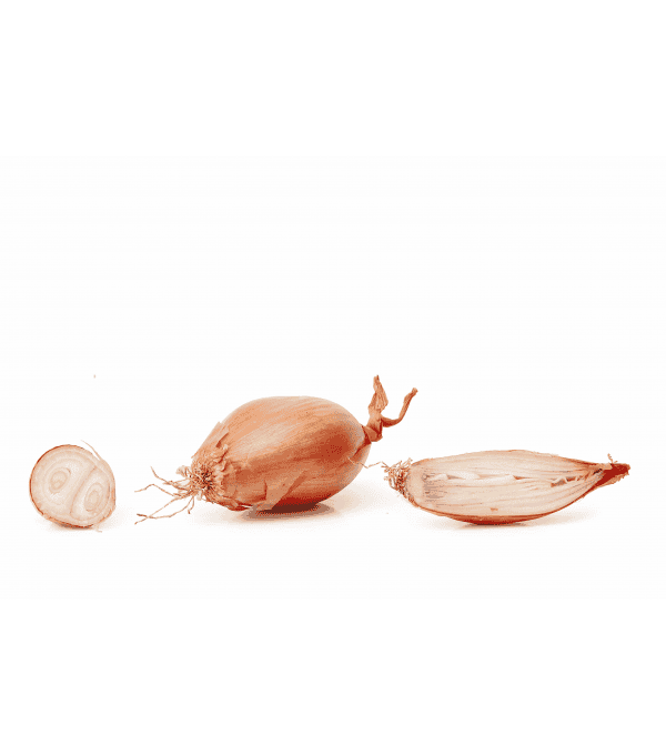 ECHALOTTE LES MOUETTES produits de gros - cash-alimentaire.com