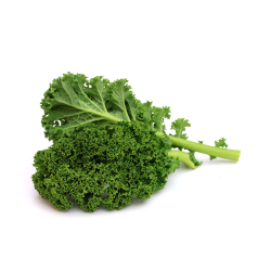 Distributeur alimentaire de CHOU KALE CASE - cash-alimentaire.com